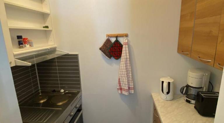 Rental apartment with sauna — photo 5