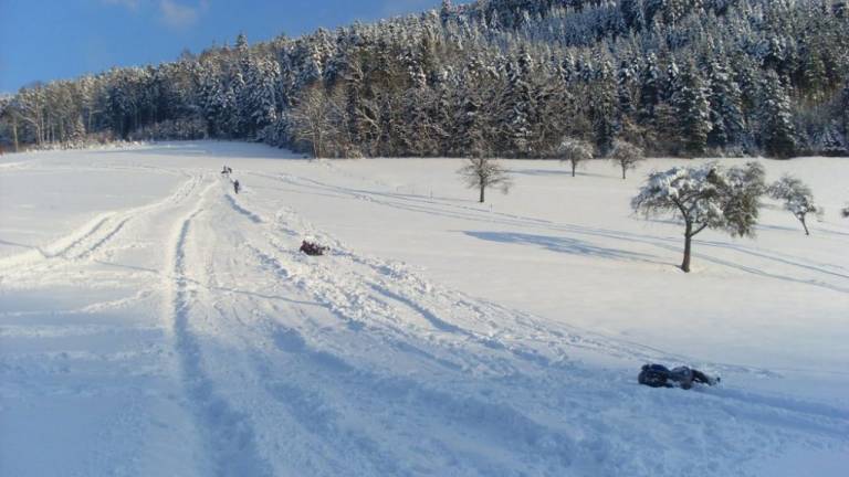Ferienwohnung  Hausach