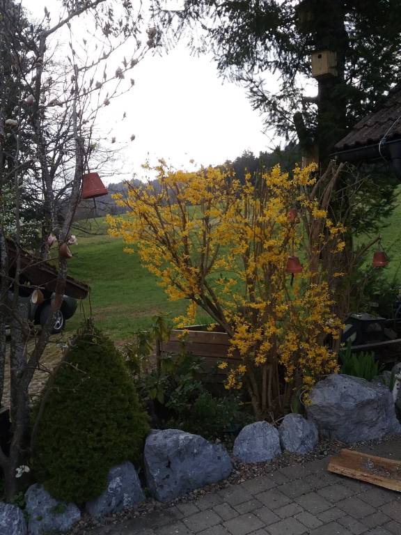foto14