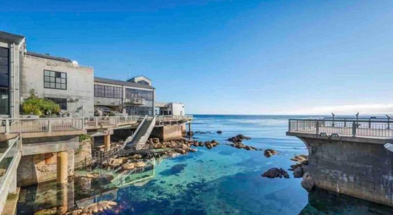 Spacious vacation home | Pets are welcome — photo 4