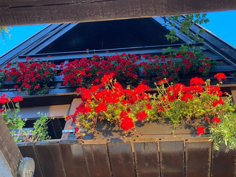 foto70