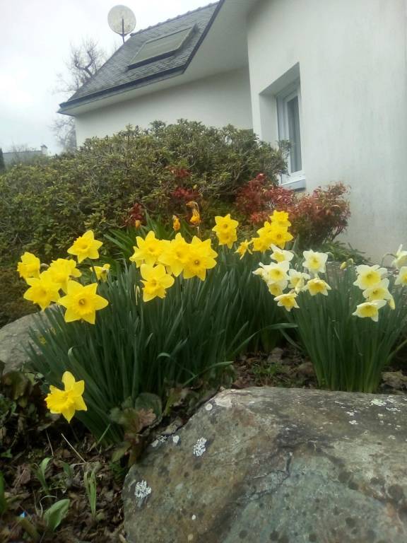 Maison de vacances Fouesnant