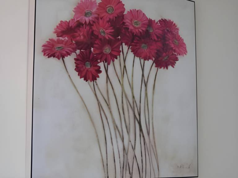 foto43