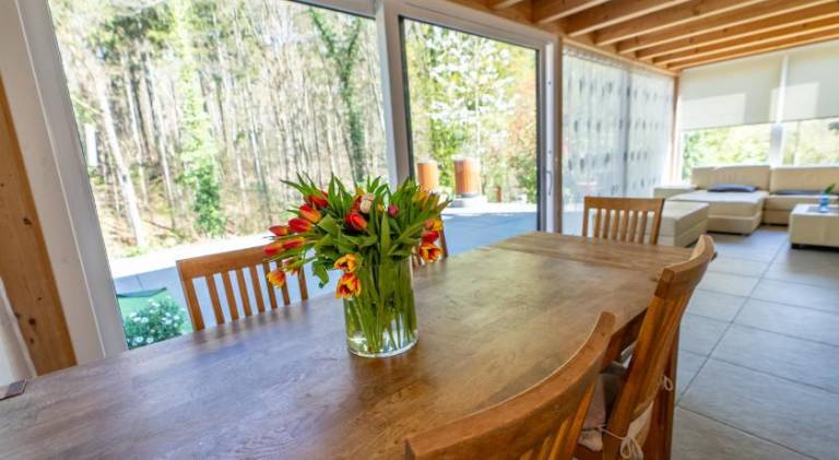 Ample rental apartment | Dogs allowed in Bonn