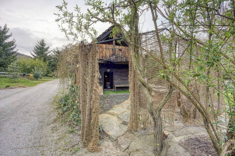 Chalet  Temenica