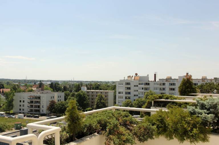 foto9