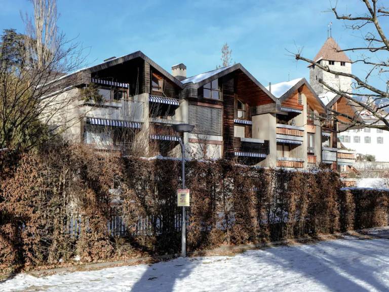 Ferienwohnung Thunersee