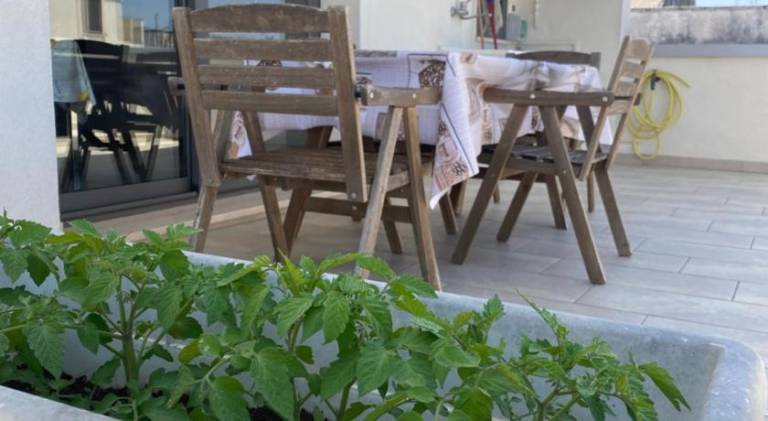 Rental apartment with 1 room for 4 persons — photo 3