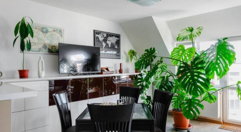 Holiday apartment | Near Vitosha Boulevard | Pets are welcome — photo 4