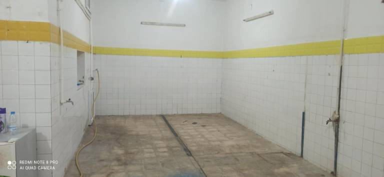 foto44
