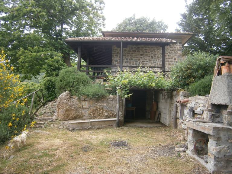 foto12