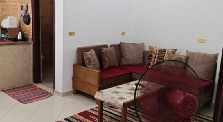 Beautiful rental apartment | Pets are welcome — photo 3