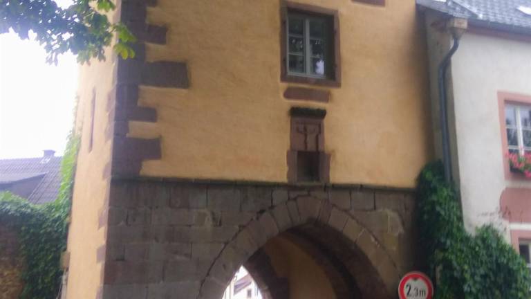 foto6