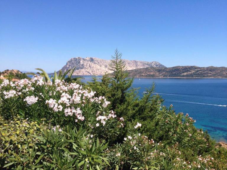 Appartamento Capo Coda Cavallo