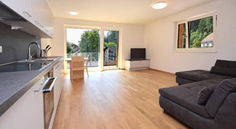 Ample apartment with patio | Pets are welcome — photo 2