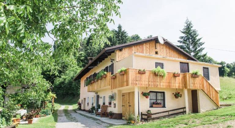 Ferienhaus  Tolmin