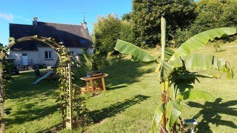 Refuge des voyageurs - Studio Phenix 20 m² avec jardin — photo 5