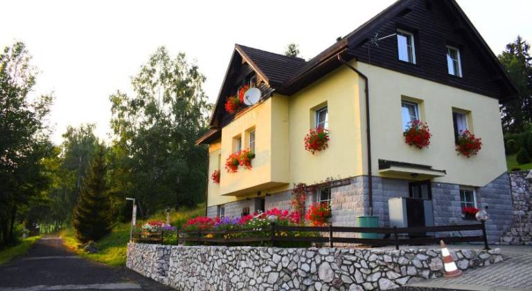Holiday apartment with pool in Benecko