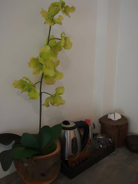 foto41
