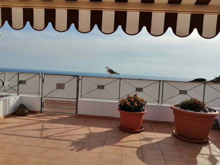 Apartment with patio | Nature view — photo 2