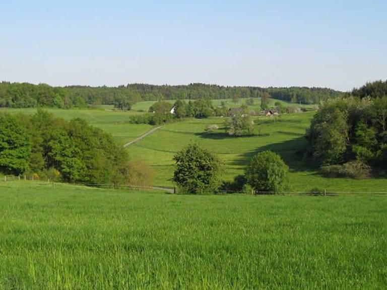 foto19