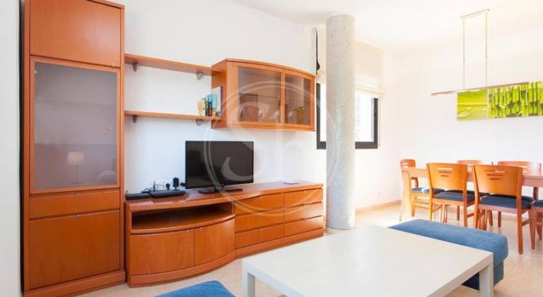 Charming rental apartment | Close to Magic Fountain of Montjuïc | Dogs allowed — photo 2