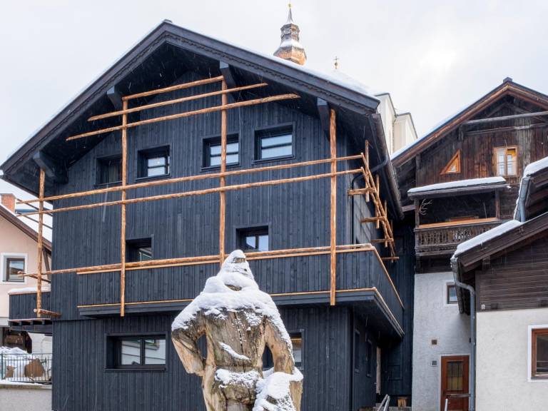 Ferienhaus Großarl