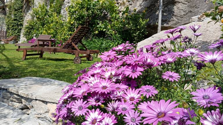 Agriturismo U'Spigu: AGRITURISMO U' SPIGU " NONNA ANNETTA " APPARTAMENTO ROSMARINO — photo 3
