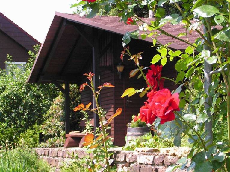 foto19