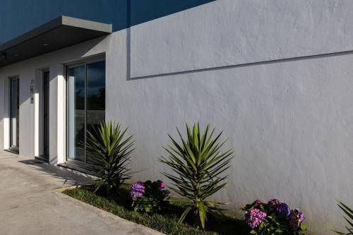 Casa Ribeira Grande