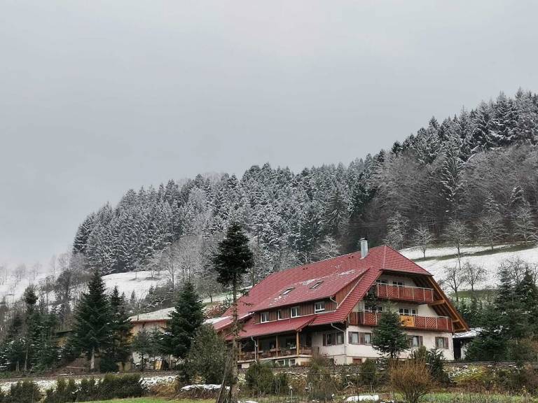 Ferienwohnung Oppenau