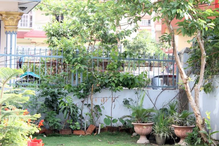 Dom  Ichangu Narayan