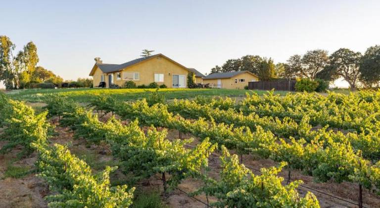 Vacation home | Pets are welcome in Paso Robles, CA