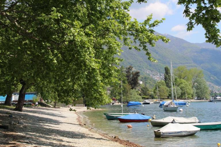 Appartamento vacanza  Minusio