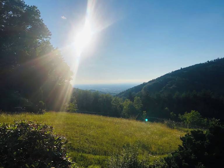 Ferienwohnung Bühlertal