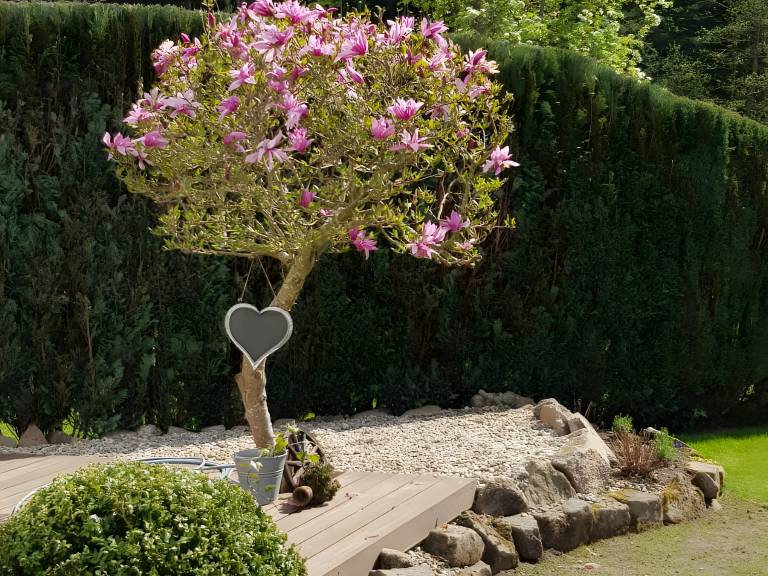 foto24