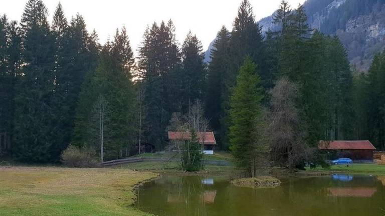 foto26