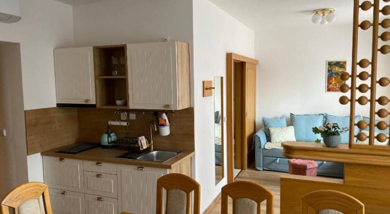 Beautiful serviced apartment with sauna, garden & terrace | Pet-friendly — photo 5