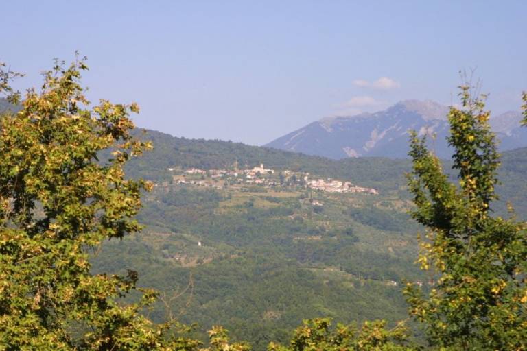 foto7