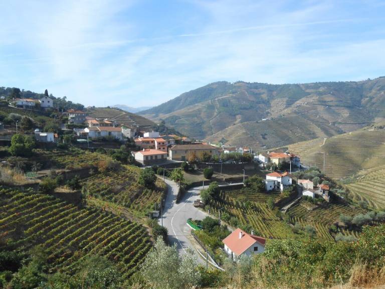 Chalé Covas do Douro