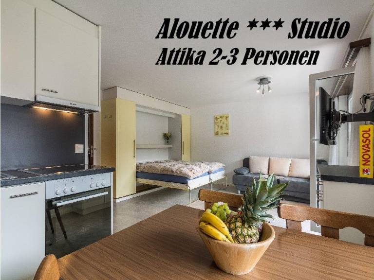 Ferienwohnung mit Hund in Saas-Fee f&uuml;r max. 3 Personen