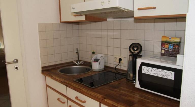 Rental apartment | Near Zwinger | Dogs allowed — photo 5