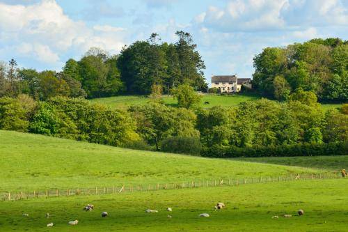 Bed and breakfast  Enniskillen