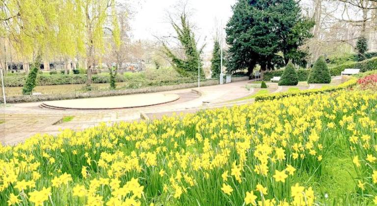 Charming Motorhome Adventure in the Heart of Maidstone