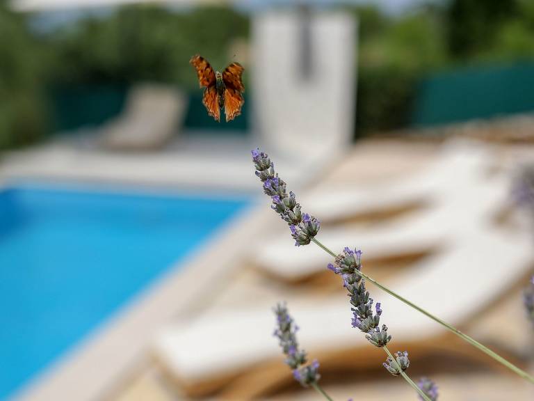 Vacation home with yard, patio & private pool — photo 5