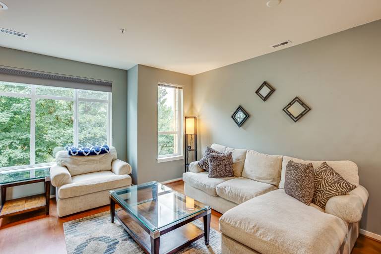 Apartment  Bellevue