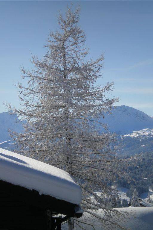 Appartement  Lenzerheide