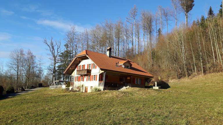 foto19