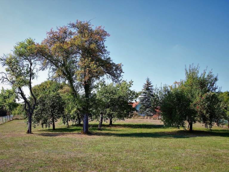 foto31