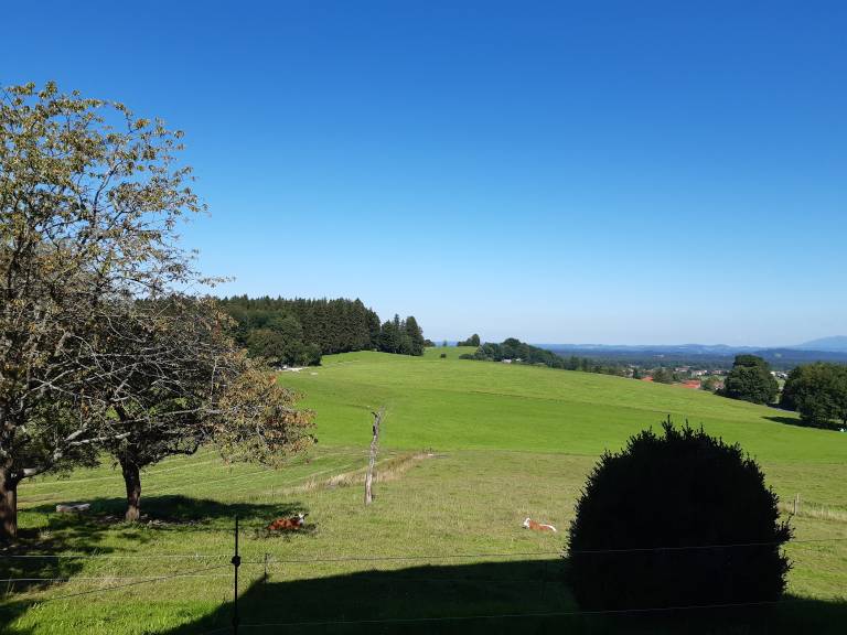foto11